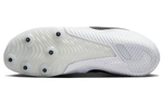 Кроссовки Nike Zoom Rival Multi M10
