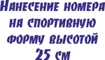 Цена нанесения номера высотой 25 см: с 1- 9 цена 280 руб, с 10- 99 цена 350 руб