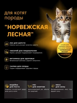 Корм для котят породы Норвежская лесная, с индейкой, 400 гр