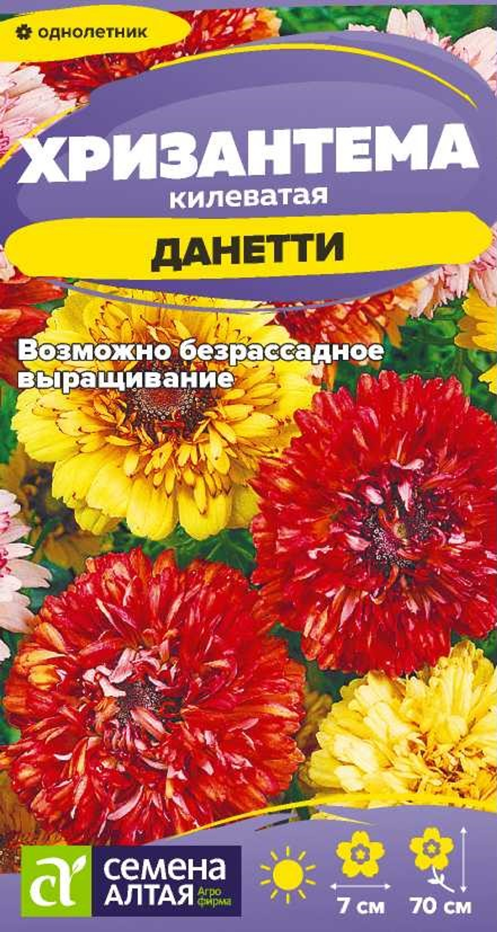 Хризантема Данетти килеватая 0,1г Семена Алтая