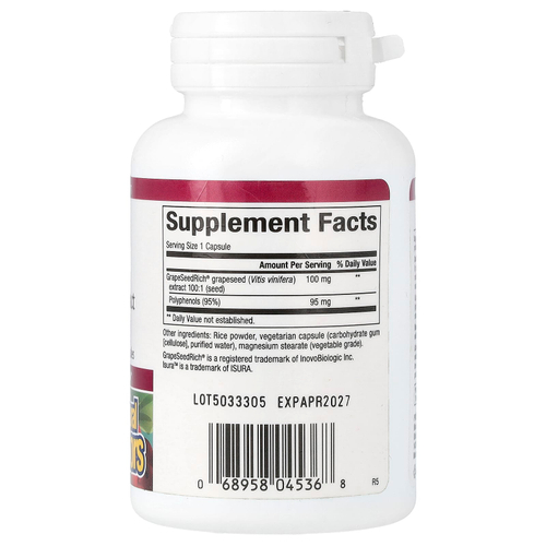 Natural Factors, GrapeSeedRich, экстракт виноградных косточек, 100 мг, 90 вегетарианских капсул