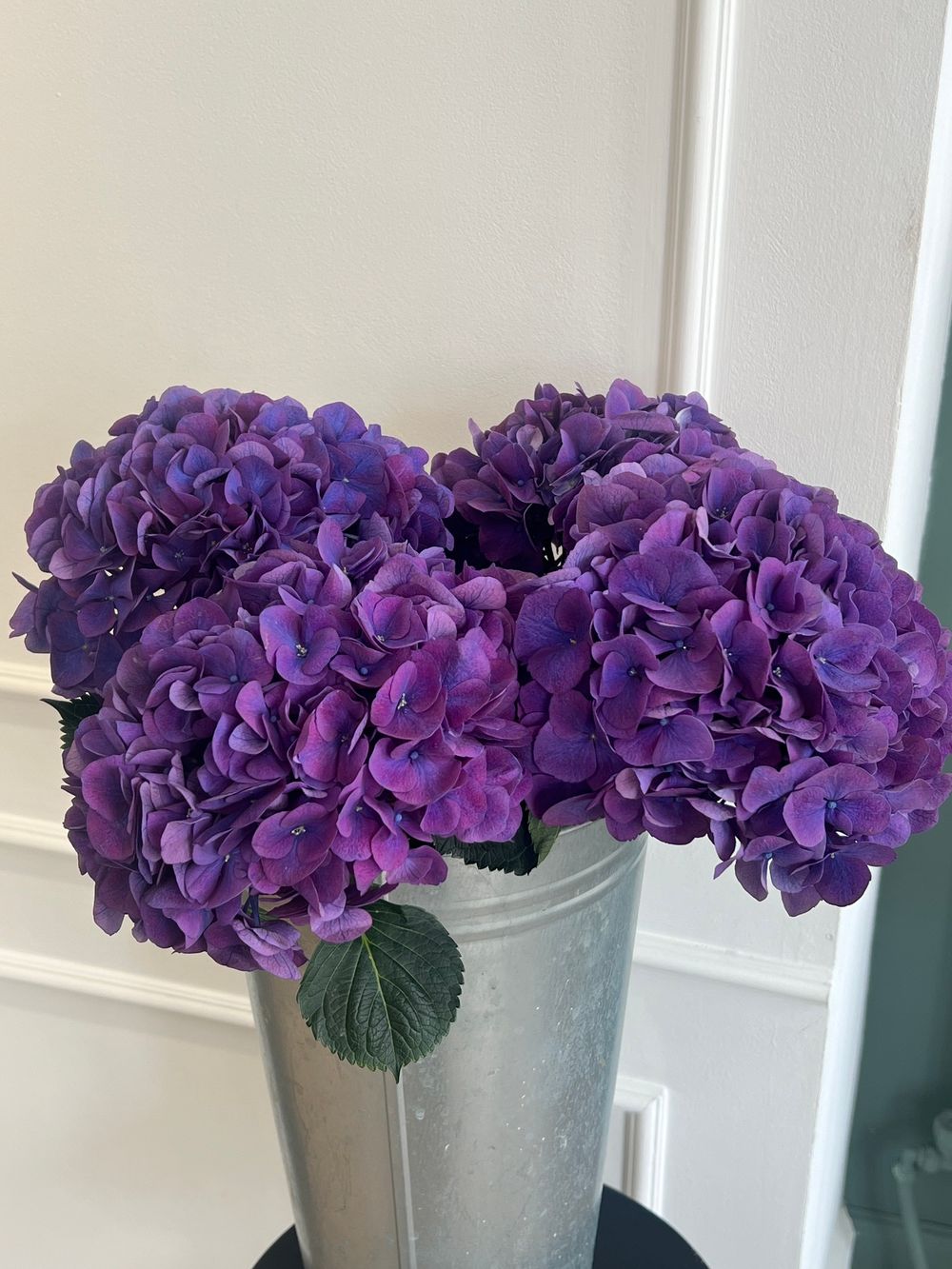 Гортензия в фиолетовом оттенке