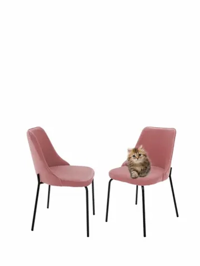 Стул "Флорес" 2 шт. Антивандальная ткань, Дизайнерские ножки