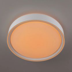 Citilux BOSS CL751250G LED RGB Светильник с пультом Белый