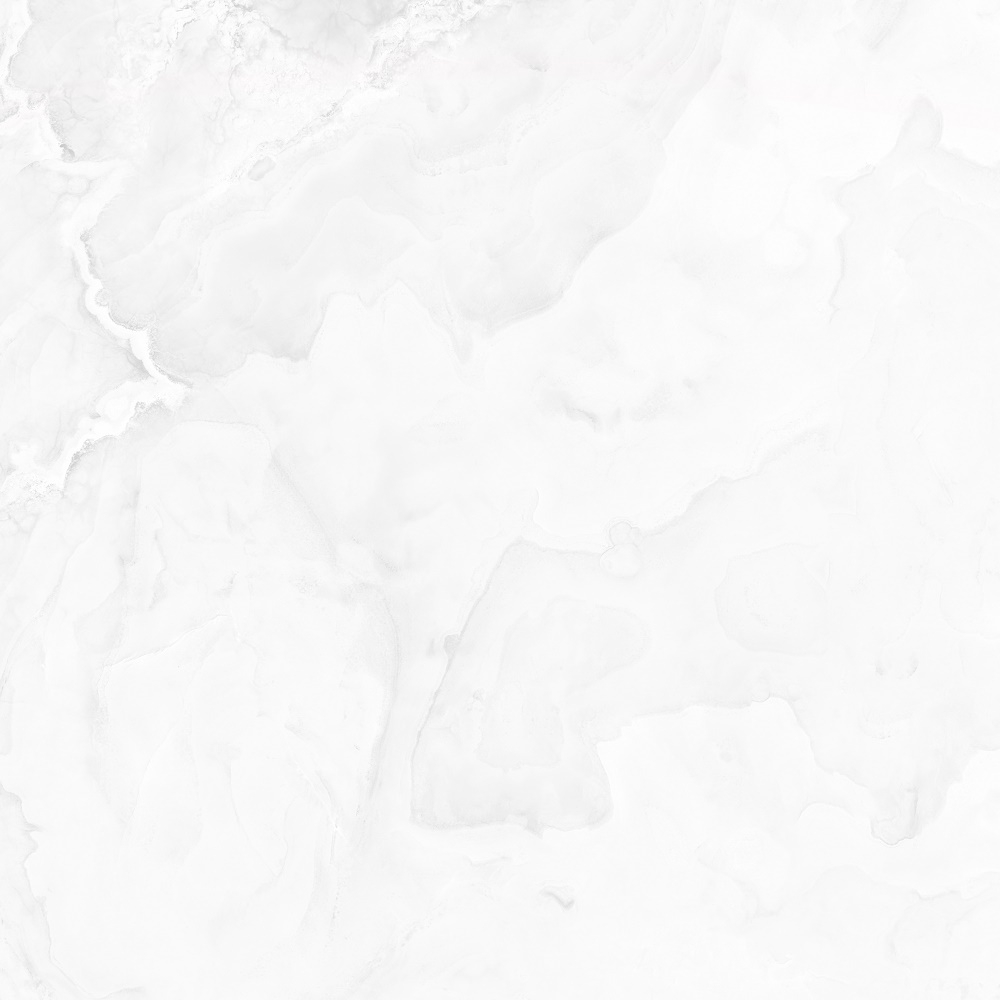 Constance grey light PG 01 600х600 (1-й сорт)