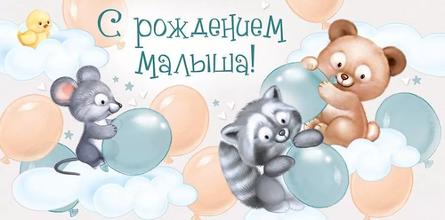 Конверт для денег "С рождением малыша!" 41.089.00 46071