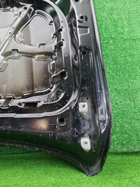 Капот Tank 500 (2021-н.в.)