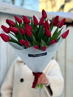 Красные тюльпаны премиального сорта в ярком монобукете от Флора Маркет