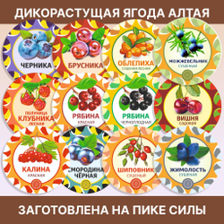 Аралия корень.