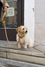 Поводок "Кантри-пони" Рыжий (льняной канат)