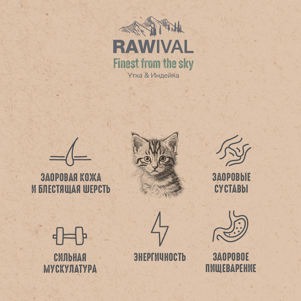 Сухой корм RAWIVAL для котят с уткой и индейкой - 1,7 кг