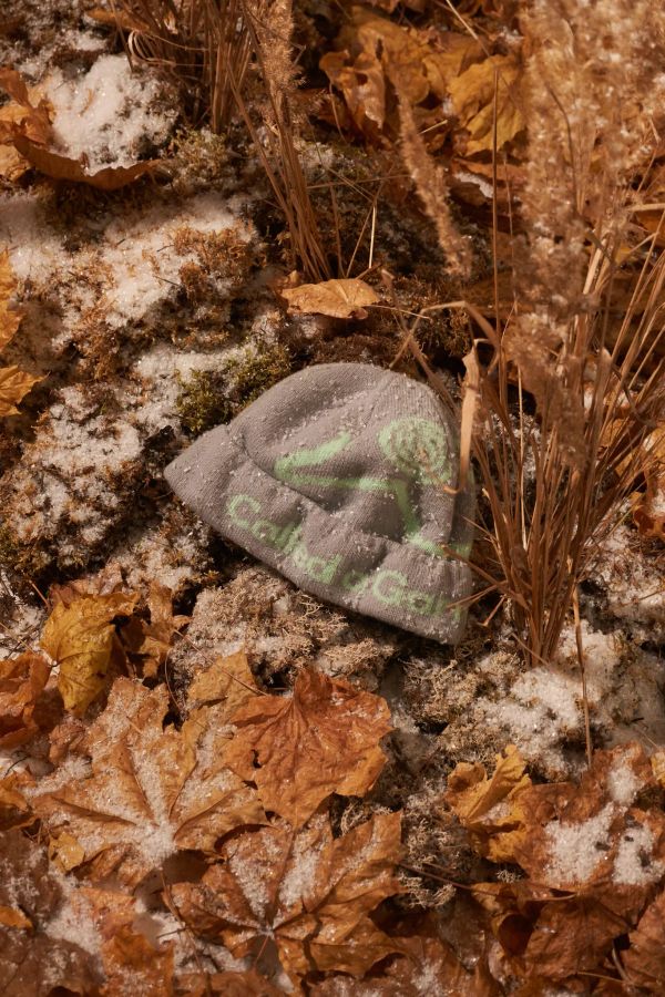 Шапка Pathway Logo Beanie серый / мятный - фото 5