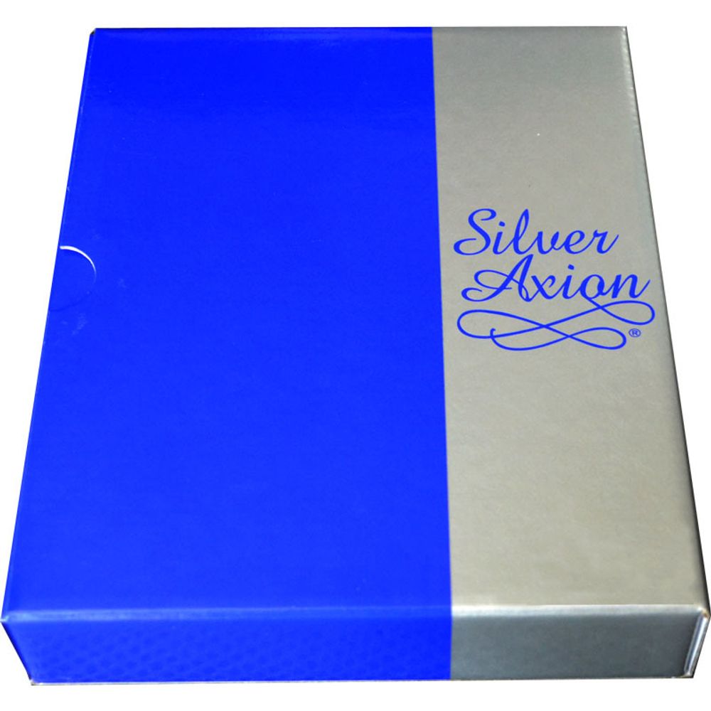 Казанская икона Божией Матери в серебряном окладе.