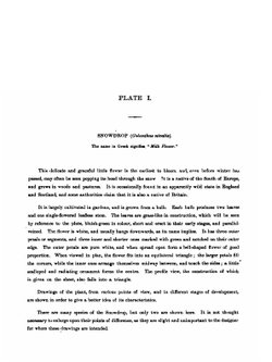 Nature drawing and design. Part 1 | Frank Steeley