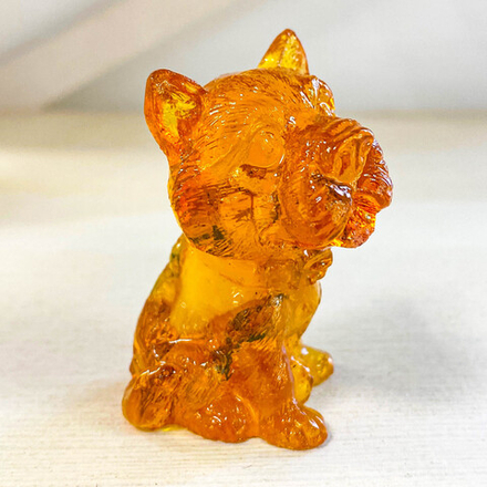 Собака глазастик норвич-терьер