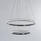 Подвесной светодиодный светильник Arte Lamp Meridiana A2198SP-2CC