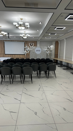 Фотозона Пайетка серебро сириус №4585