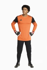 Вратарские штаны adidas Tierro 26 - черный