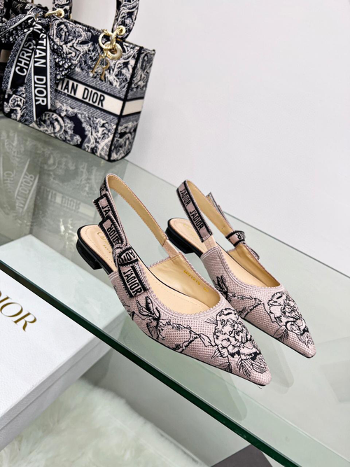 Балетки Christian Dior