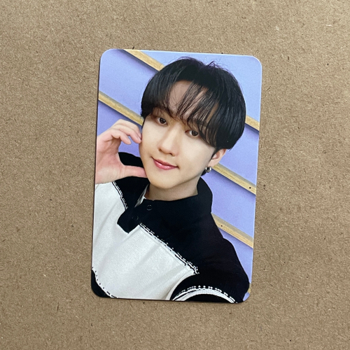 ОФ КАРТА / STRAY KIDS / MAXIDENT / Чанбин [dtc]