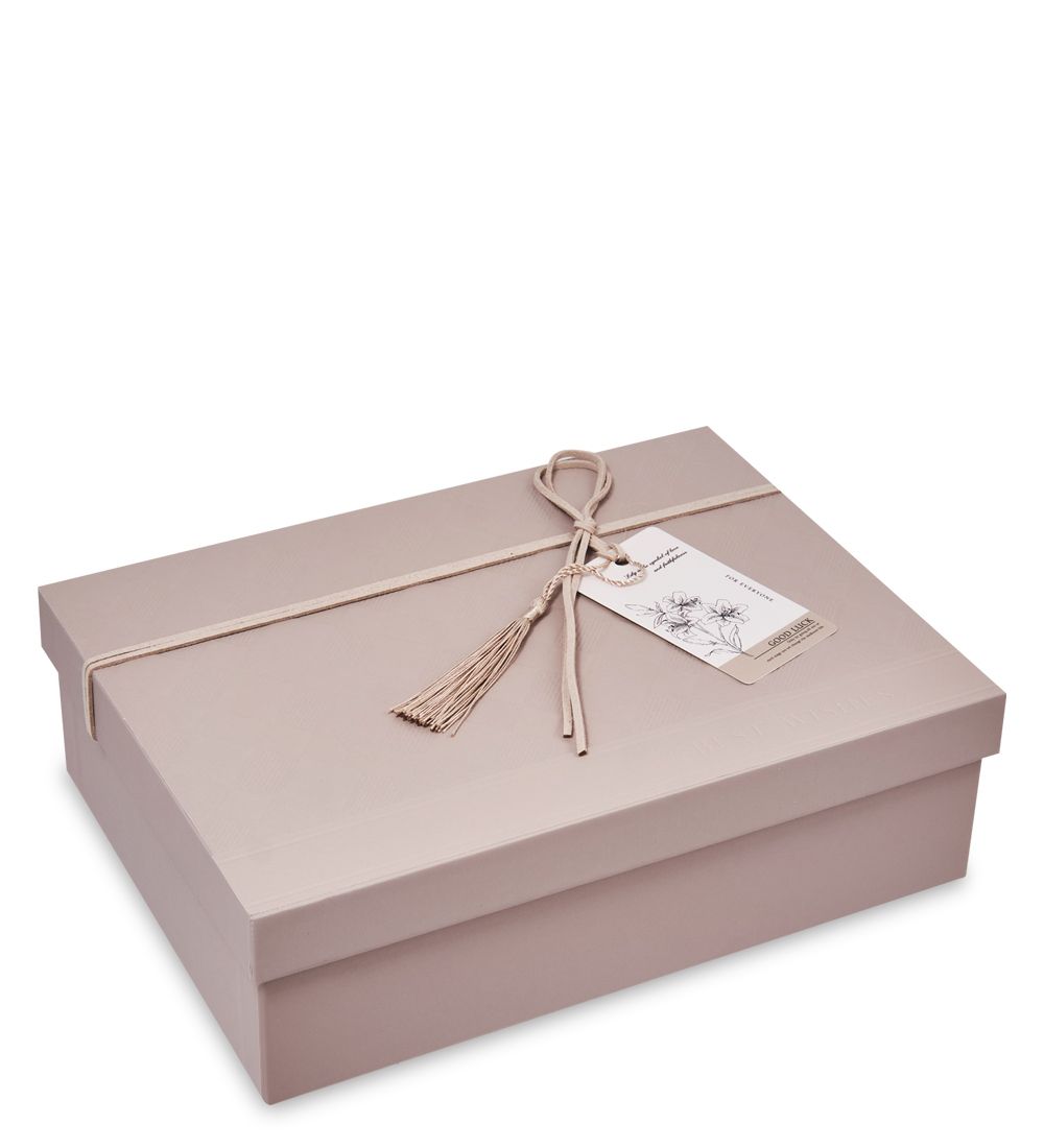 WF-178/2-A Коробка сред., какао с молоком