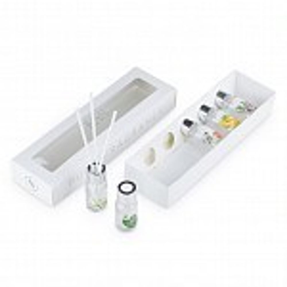 Bago Home Ориджиналс 2 Ароматический диффузор 5 шт по 10 мл