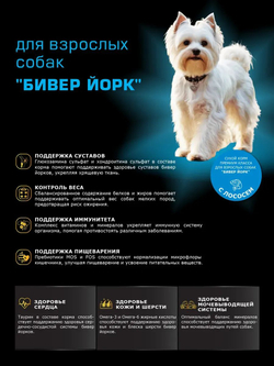Корм сухой для взрослых собак породы Бивер Йорк, с лососем, 12 кг, QUATTRO
