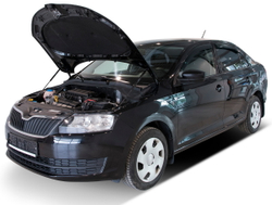 Газовые упоры капота АвтоУпор для Skoda Rapid I, II 2013-2020 2020-н.в./Volkswagen Polo VI лифтбек 2020-н.в., 2 шт., USKRAP012