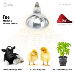 Инфракрасная лампа ЭРА ИКЗ 220-250 R127 для обогрева животных и освещения 220-250 Вт Е27 | Инфракрасные лампы