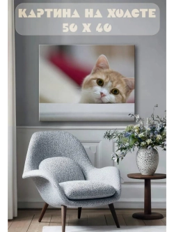 Картина на стену 40 X 50 Котенок