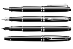 Подарочный набор Waterman Expert с перьевой ручкой и чехлом Black CT перо M