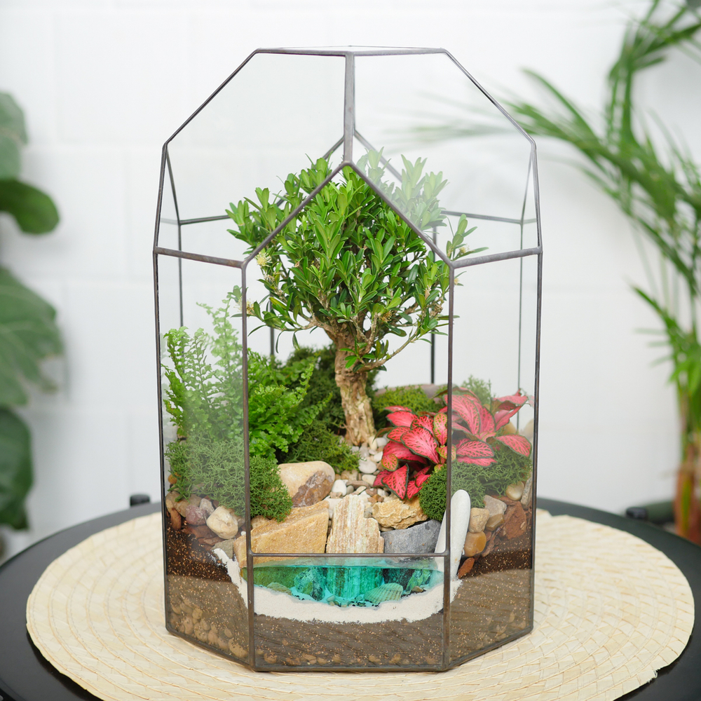 Готовый флорариум бонсай Самшит Бонсариум с озером