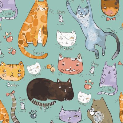 Коты и кошки с именами на цветном фоне.