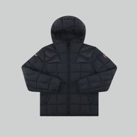  Пуховик мужской Napapijri Ariel артикул:NA4GOC041 - купить в магазине Дайс