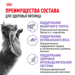 Royal Canin Sterilised 37 Корм сухой сбалансированный для взрослых стерилизованных кошек - 2 кг