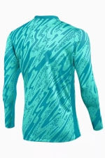 Вратарская кофта Nike Dri-FIT Gardien V GK