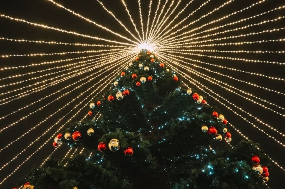 Светодинамическая елка ствольная - встроенная гирлянда: Теплый свет - "Таежная" от 11 до 21 м