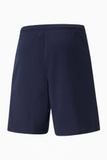 Шорты Puma teamRISE