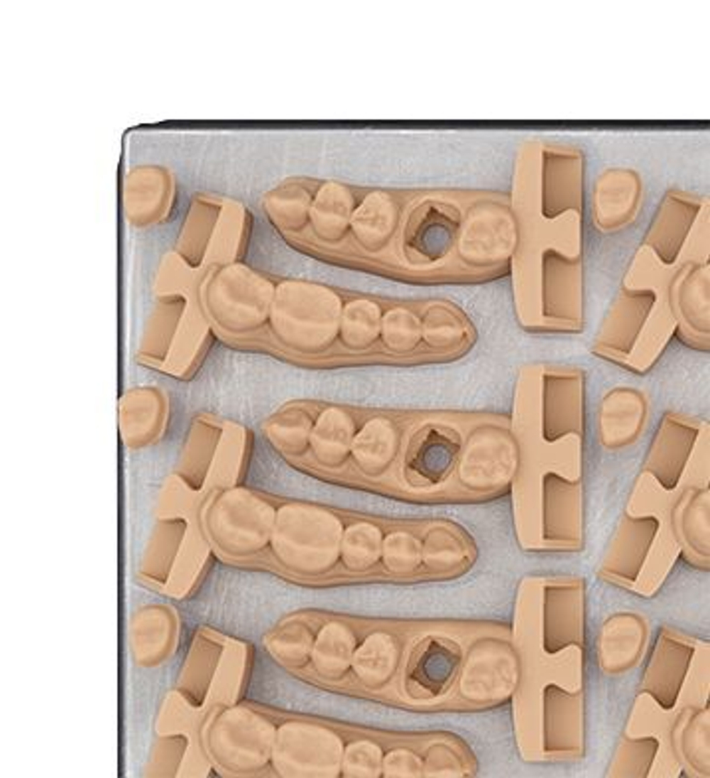 Formlabs Dental Model