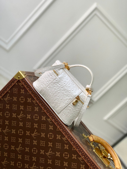 Louis Vuitton Vanity Chain Pouch