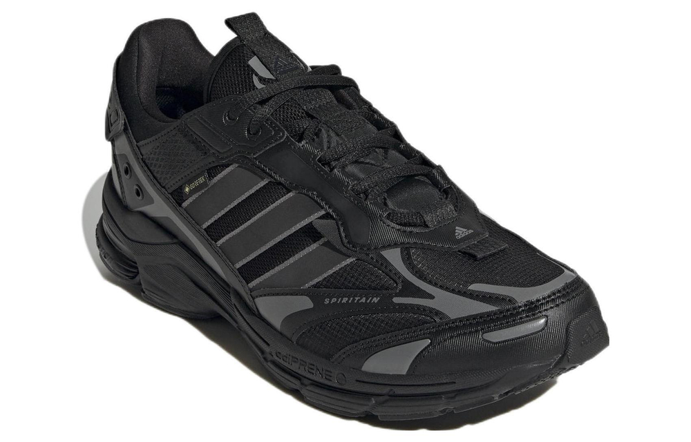 Кроссовки Adidas Spiritain 2000 Gore-Tex
