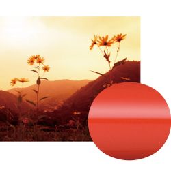 Ручка перьевая Sailor Shikiori Akanezora Red RT (11-0500-233) 2