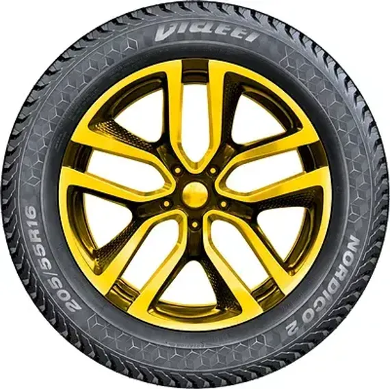 Viatti Nordico 2 225/55 R17 101T