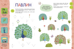 Птицы. Компакт-технологии для одарённых малышей