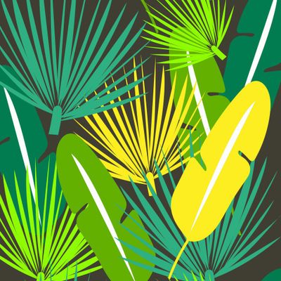 тропические листья