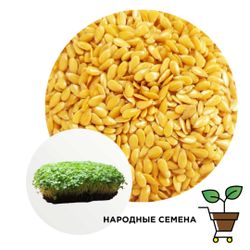 Лён золотистый