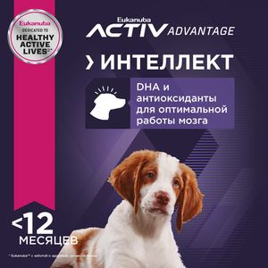 Корм для щенков средних пород, Eukanuba Dog MEDIUM PUPPY