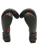 Перчатки боксерские Rusco Sport 4-6 OZ