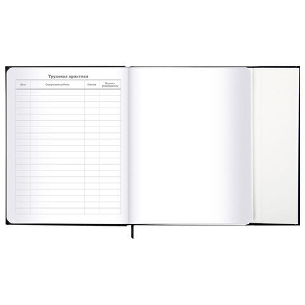 Дневник 1-11 класс 48 л., твердый, BRAUBERG, матовая ламинация, магнитный клапан, закладка-ляссе, с подсказом, "Дракон", 107245