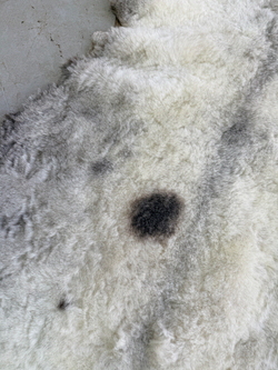 Ковер шкура натуральная овчина Меховой